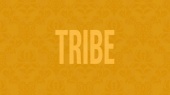 Tribe(音频版)