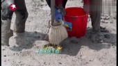 《极限挑战宝藏行》滩涂赶海环节,王彦霖抓鱼一抓一个准
