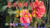 茶花蜜蜂不分开(伴奏版)