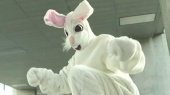 Bunnydance